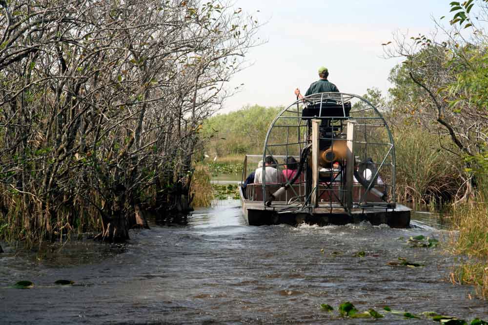 Everglades National Park Adventure (Airboat)