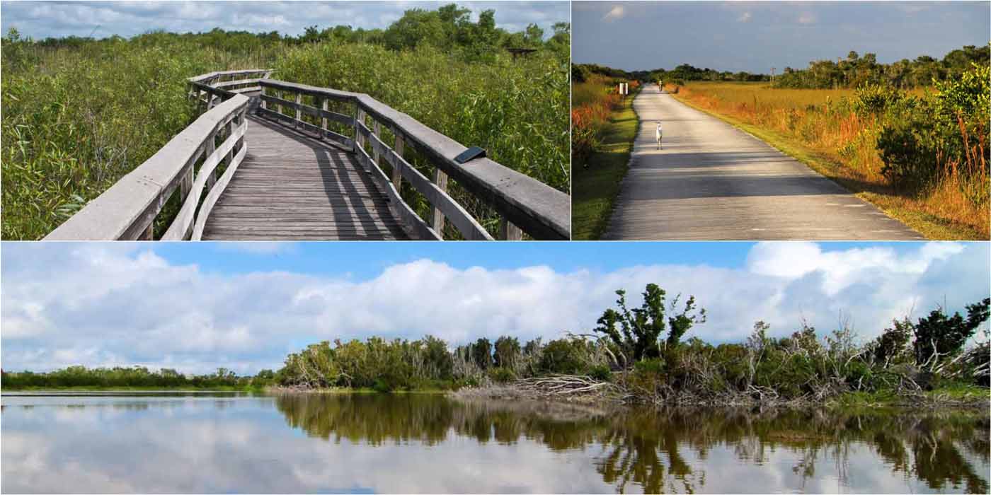 Everglades National Park Adventure (Anhinga Trail, Shark Valley & Eco Pond)