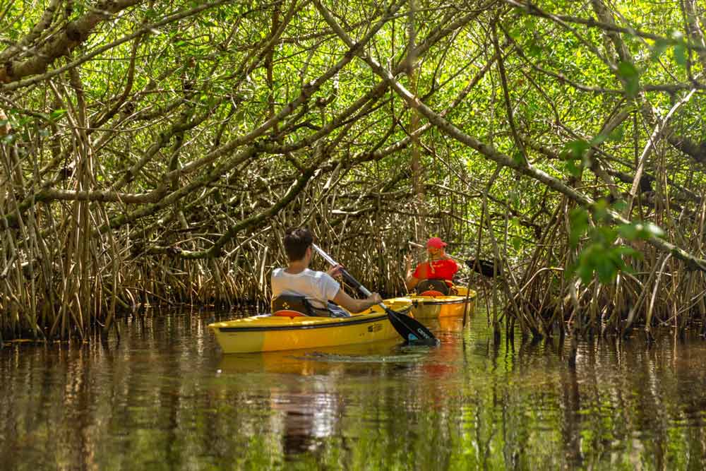 Everglades National Park Adventure (Canoeing and Kayaking)