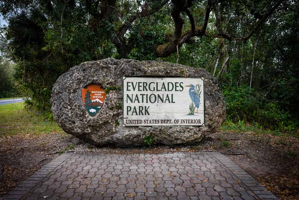 Everglades National Park Adventure (Featured)
