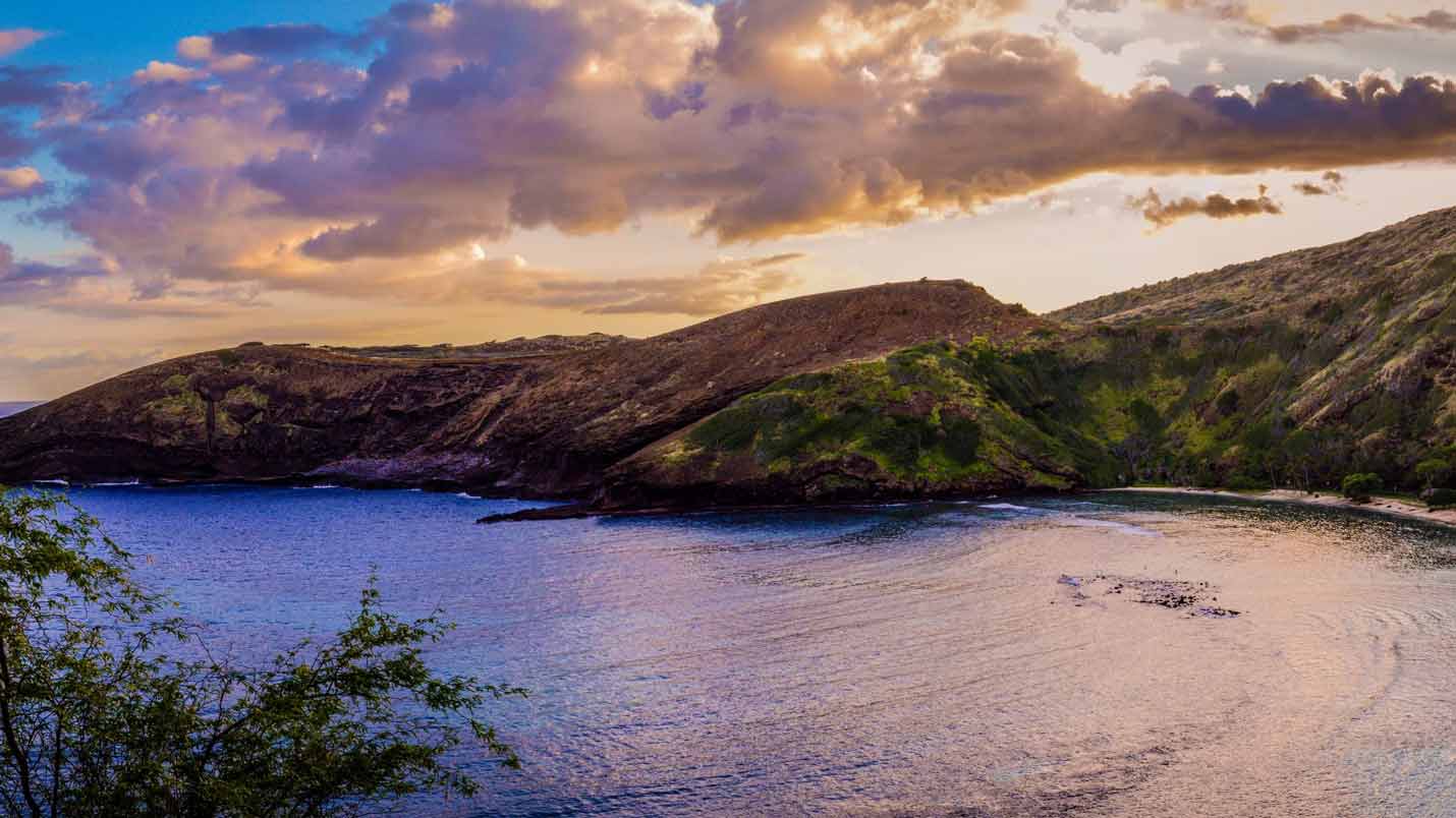 Testimonials - Hanauma Bay Ridge Hike