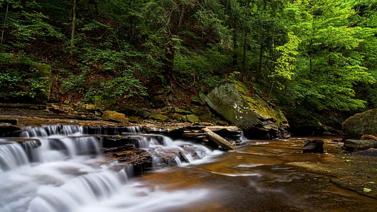 Brandywine Creek - Brandywine Picnic Park