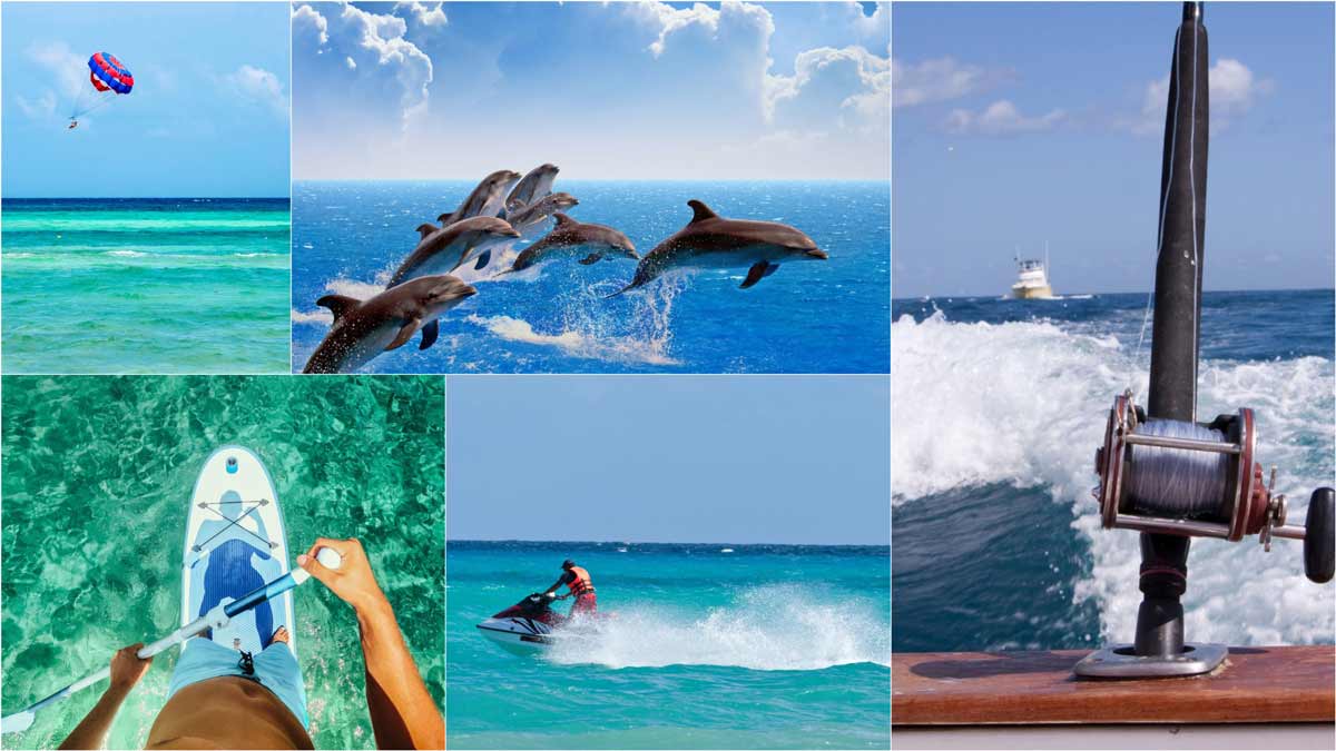 Water Activities, Dolphin Watching, Fishing Charters - North Clearwater Beach