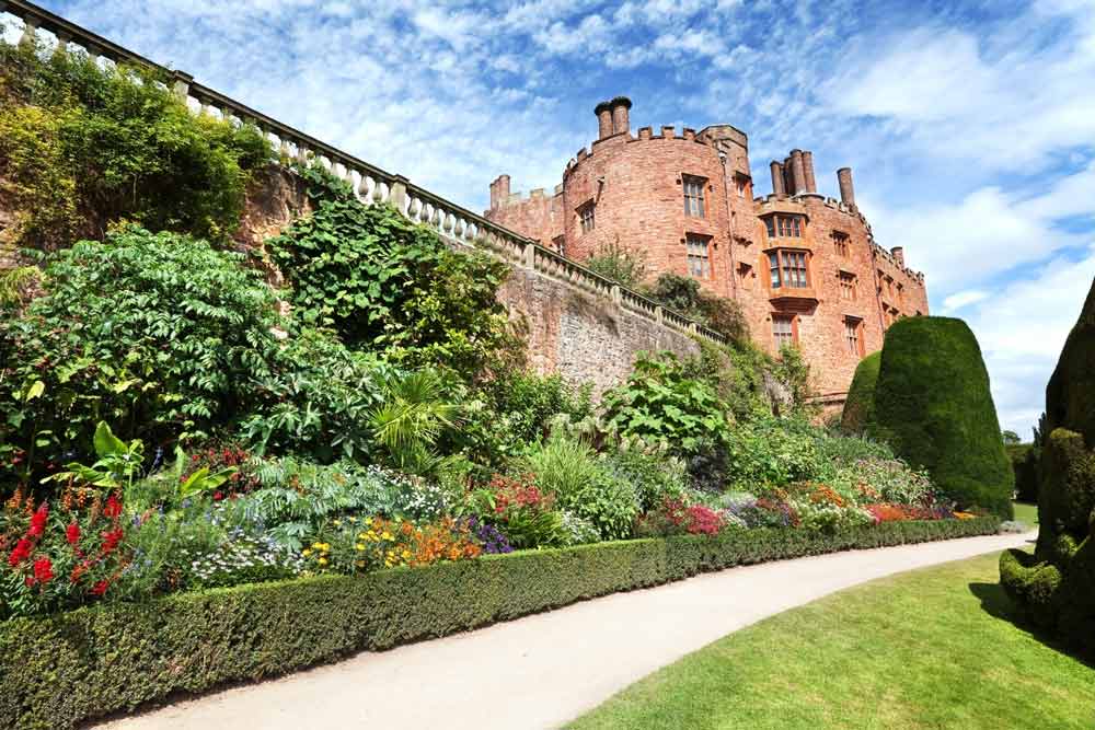 Conditions for growing Artemisia- Artemisia Powis Castle