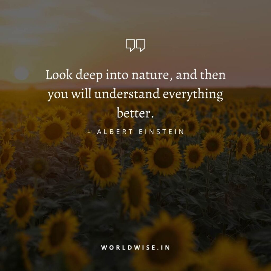 nature quote by Albert Einstein